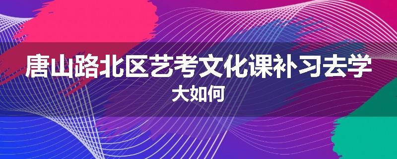 唐山路北区艺考文化课补习去学大如何