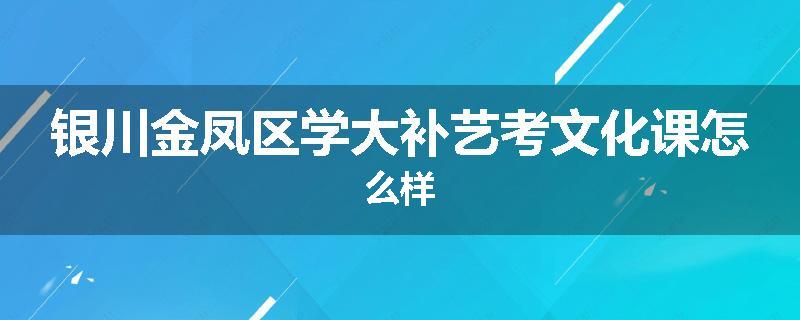 银川金凤区学大补艺考文化课怎么样