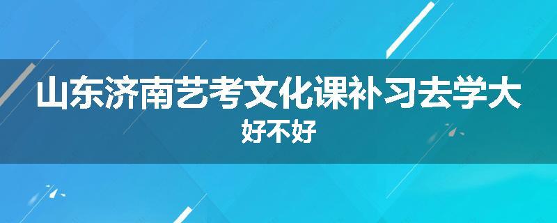 山东济南艺考文化课补习去学大好不好
