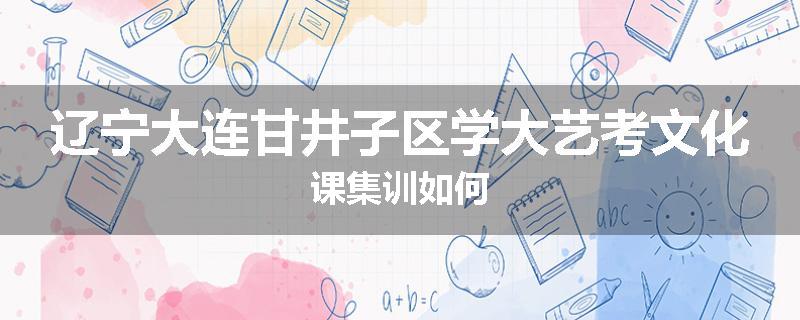 辽宁大连甘井子区学大艺考文化课集训如何