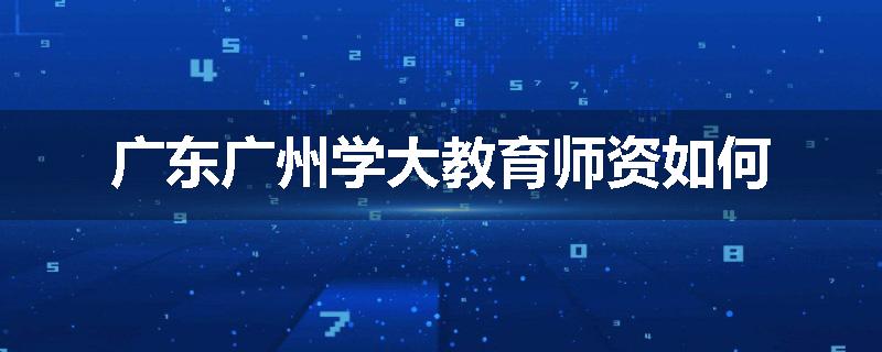 广东广州学大教育师资如何
