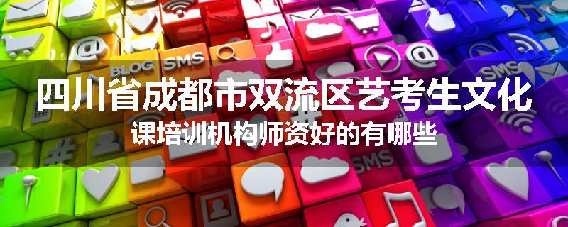 四川省成都市双流区艺考生文化课培训机构师资好的有哪些