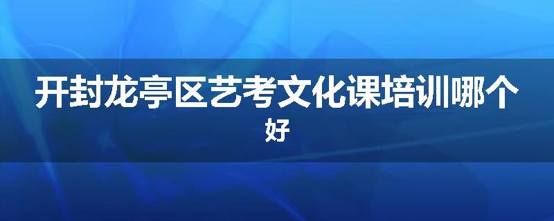开封龙亭区艺考文化课培训哪个好