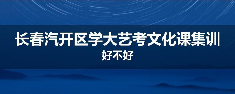 长春汽开区学大艺考文化课集训好不好