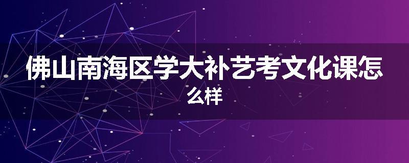 佛山南海区学大补艺考文化课怎么样