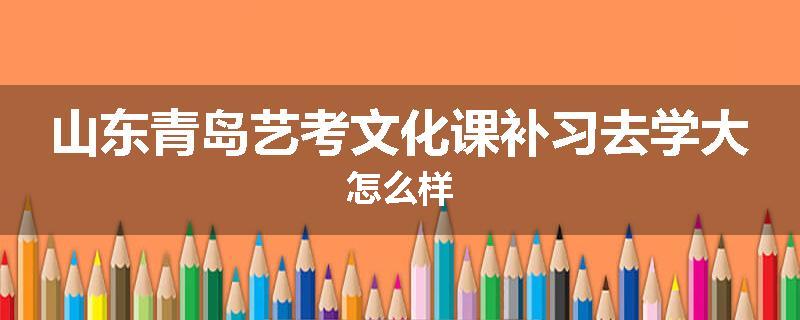 山东青岛艺考文化课补习去学大怎么样