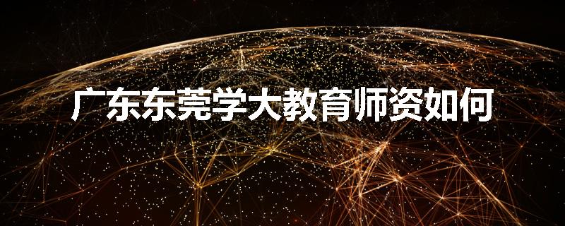 广东东莞学大教育师资如何
