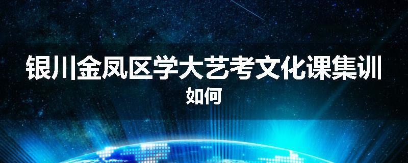 银川金凤区学大艺考文化课集训如何