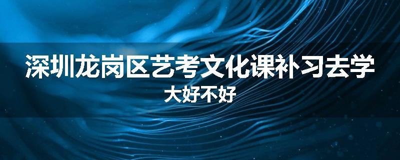深圳龙岗区艺考文化课补习去学大好不好