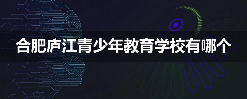 合肥庐江青少年教育学校有哪个