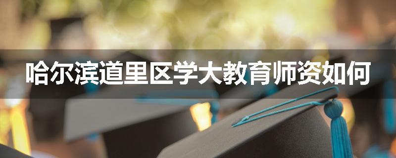 哈尔滨道里区学大教育师资如何