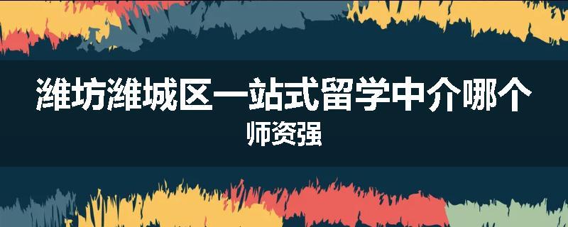 潍坊潍城区一站式留学中介哪个师资强