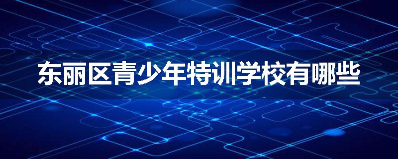 东丽区青少年特训学校有哪些