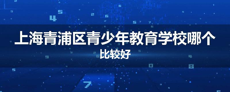 上海青浦区青少年教育学校哪个比较好