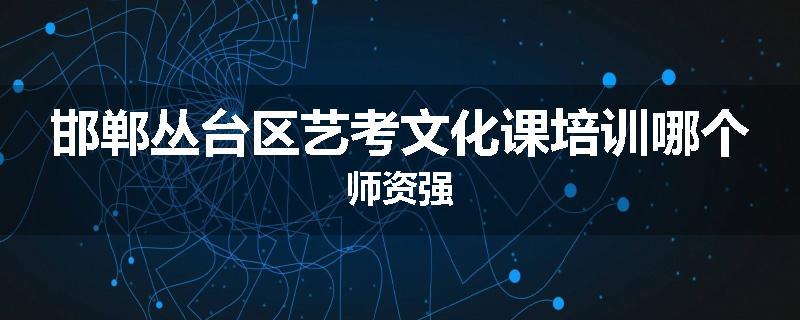 邯郸丛台区艺考文化课培训哪个师资强