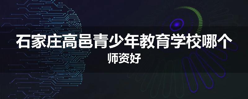 石家庄高邑青少年教育学校哪个师资好