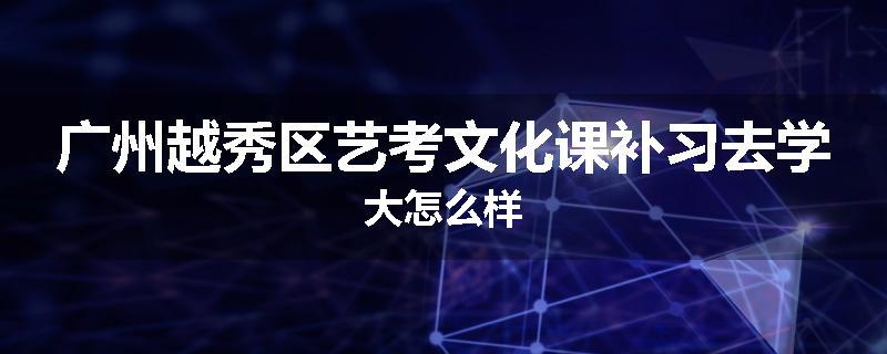 广州越秀区艺考文化课补习去学大怎么样