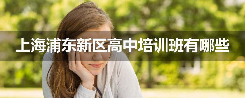 上海浦东新区高中培训班有哪些