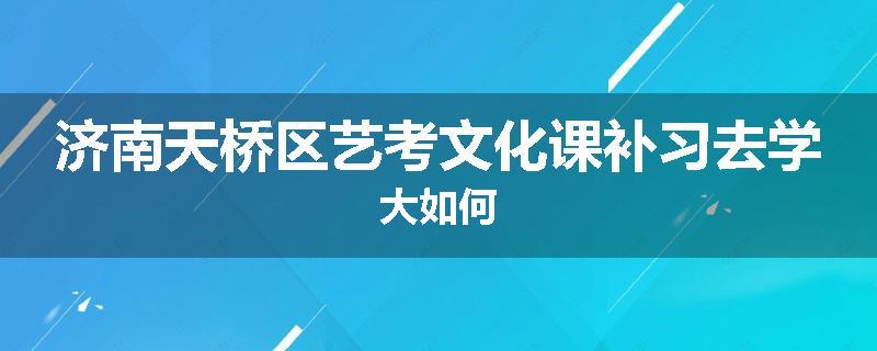 济南天桥区艺考文化课补习去学大如何