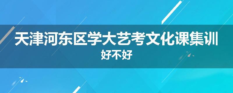 天津河东区学大艺考文化课集训好不好