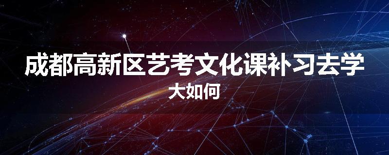 成都高新区艺考文化课补习去学大如何