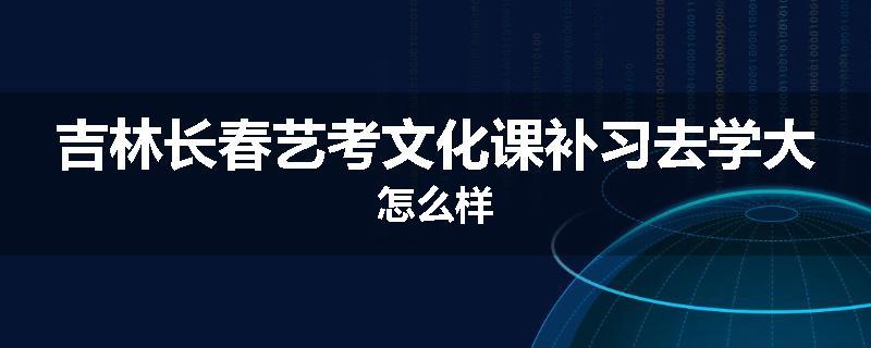 吉林长春艺考文化课补习去学大怎么样