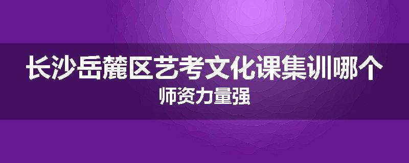 长沙岳麓区艺考文化课集训哪个师资力量强