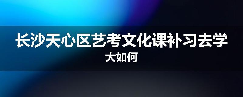 长沙天心区艺考文化课补习去学大如何