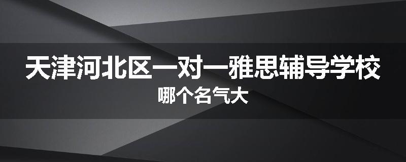 天津河北区一对一雅思辅导学校哪个名气大