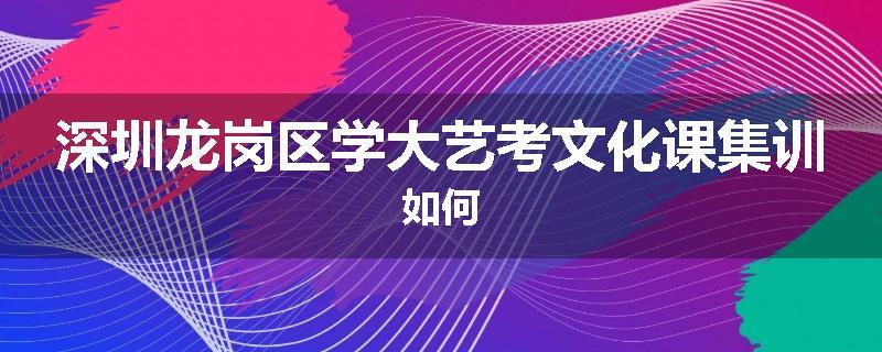 深圳龙岗区学大艺考文化课集训如何