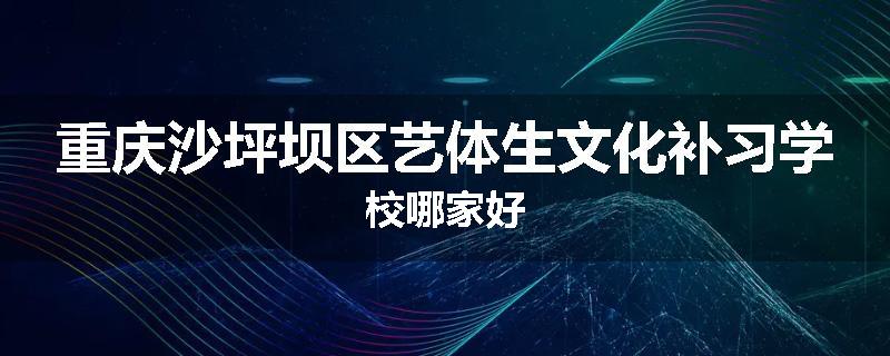 重庆沙坪坝区艺体生文化补习学校哪家好