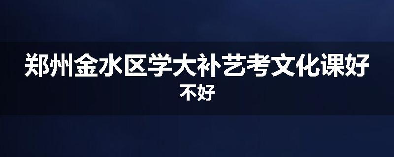 郑州金水区学大补艺考文化课好不好