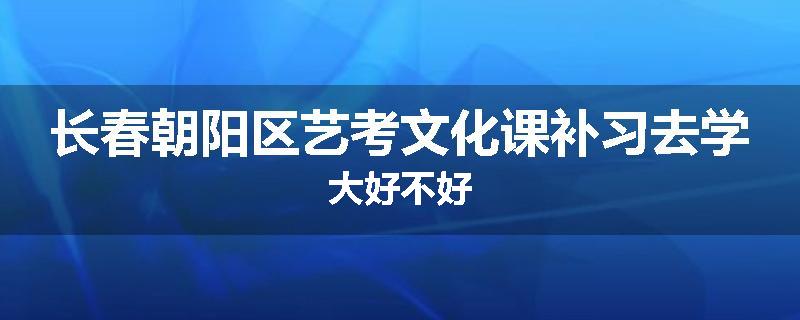长春朝阳区艺考文化课补习去学大好不好