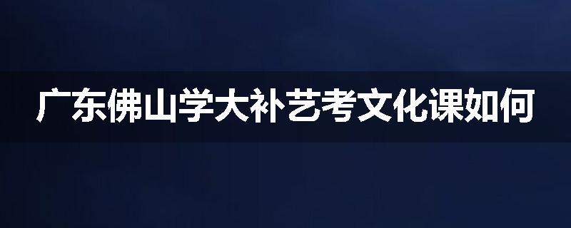 广东佛山学大补艺考文化课如何