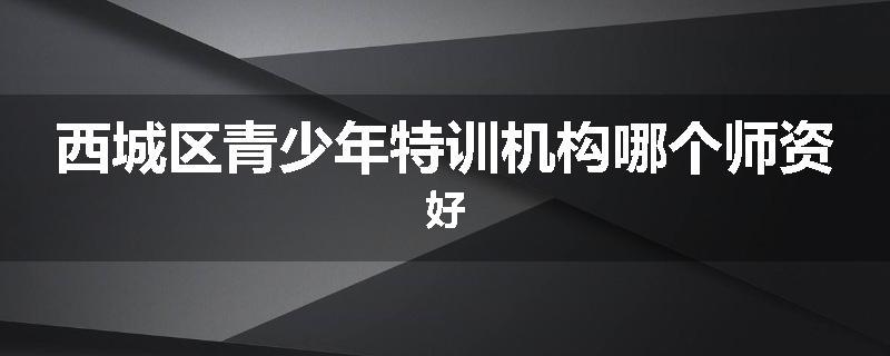 西城区青少年特训机构哪个师资好