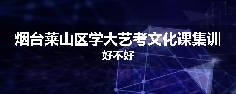 烟台莱山区学大艺考文化课集训好不好