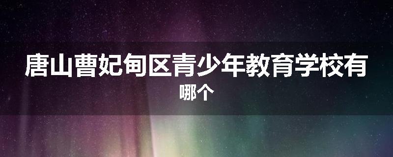 唐山曹妃甸区青少年教育学校有哪个