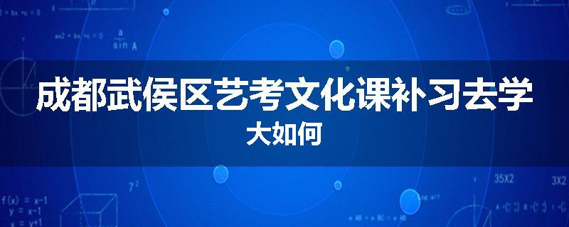 成都武侯区艺考文化课补习去学大如何