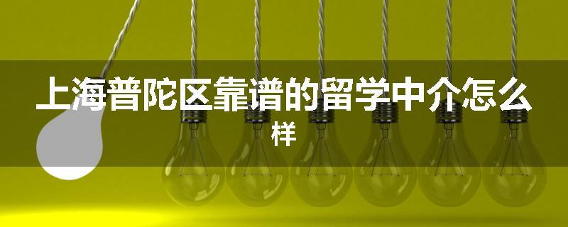 上海普陀区靠谱的留学中介怎么样