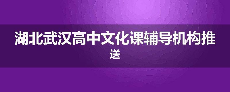 湖北武汉高中文化课辅导机构推送