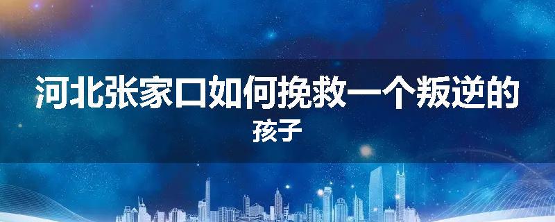 河北张家口如何挽救一个叛逆的孩子