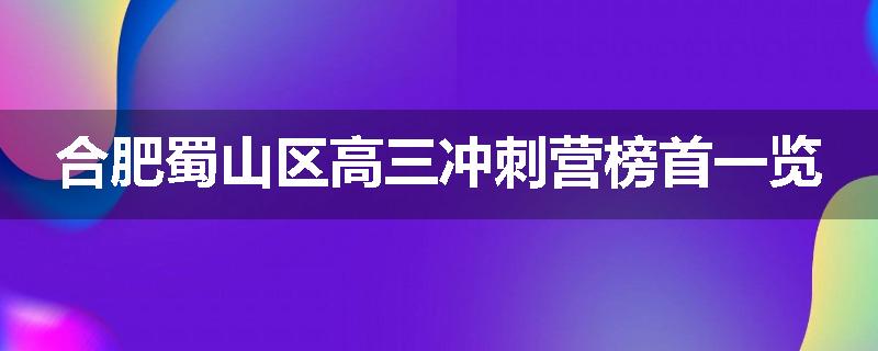 合肥蜀山区高三冲刺营榜首一览