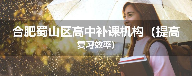 合肥蜀山区高中补课机构（提高复习效率)