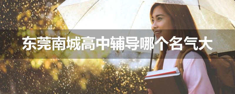 东莞南城高中辅导哪个名气大