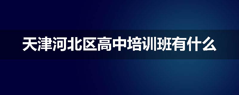 天津河北区高中培训班有什么