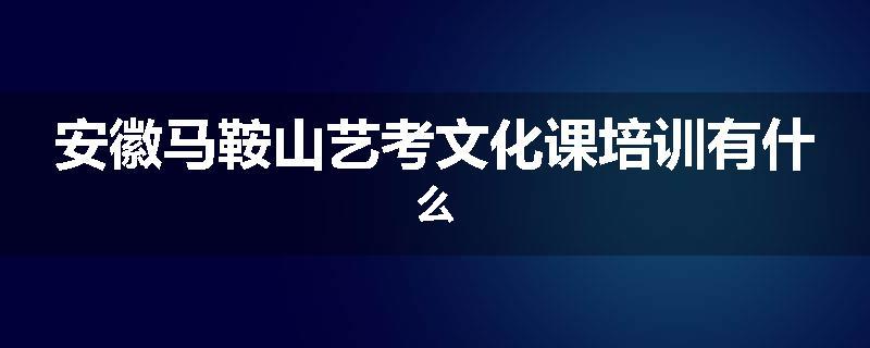 安徽马鞍山艺考文化课培训有什么