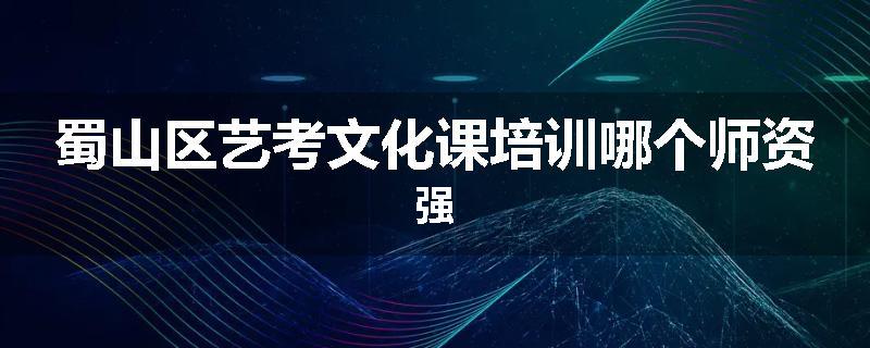 蜀山区艺考文化课培训哪个师资强