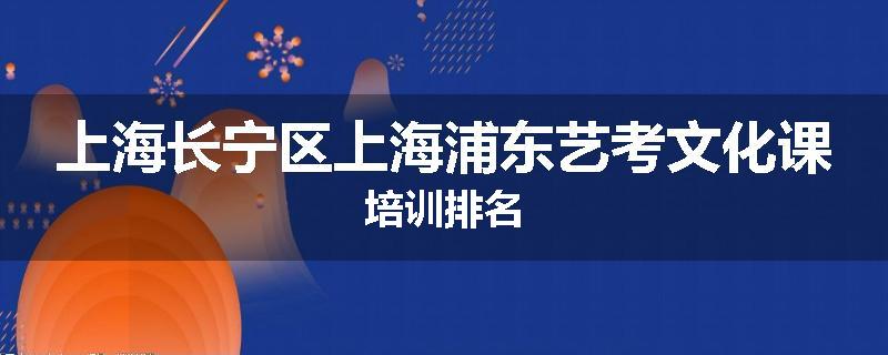 上海长宁区上海浦东艺考文化课培训排名