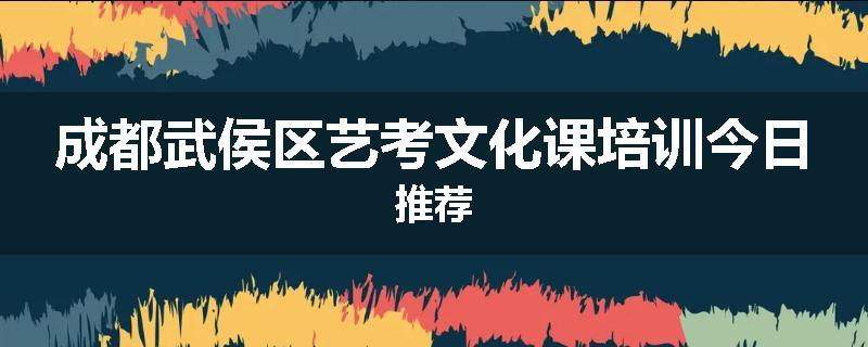 成都武侯区艺考文化课培训今日推荐