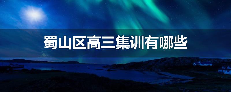 蜀山区高三集训有哪些